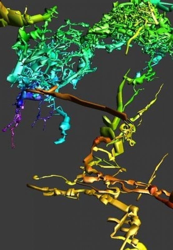 Virtual Workshop: How to use Compass